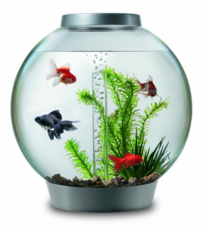 biOrb 30l